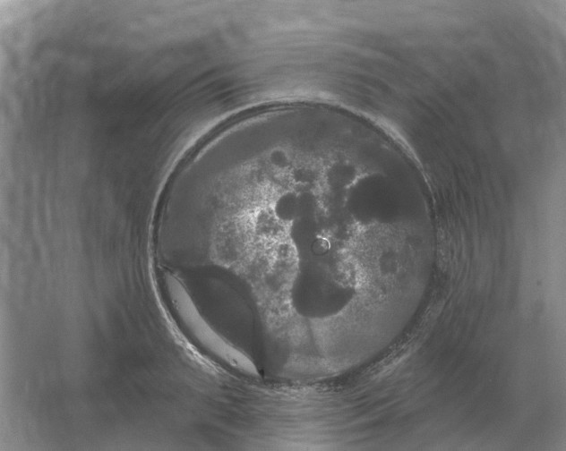 X0000066120895200603241607