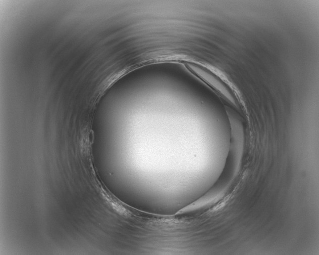 X0000066120897200603241607