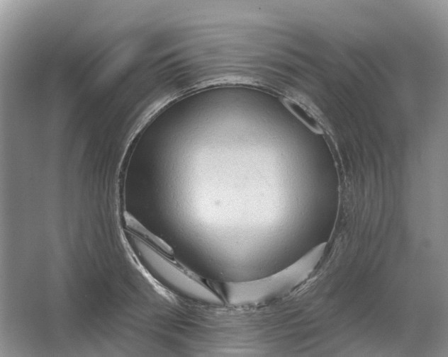 X0000066120898200603241607