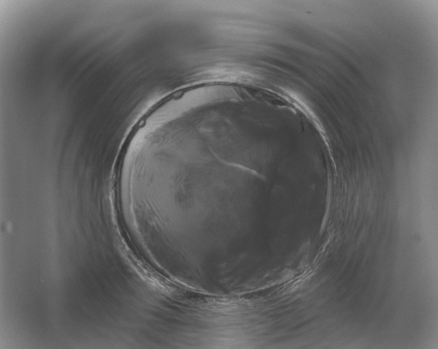 X0000066120899200603241607