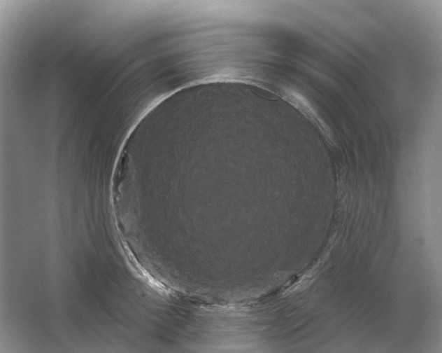 X0000066120900200603241607