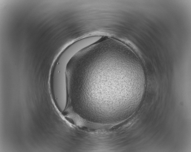 X0000066120902200603241607