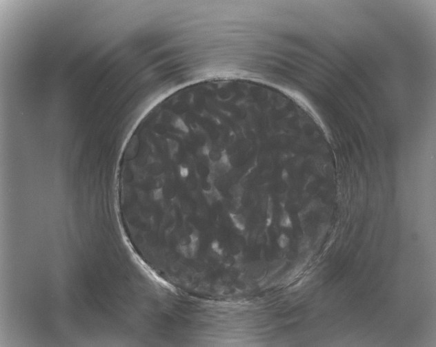 X0000066120903200603241607