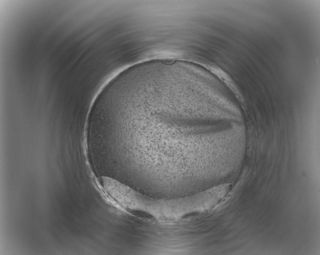 X0000066120904200603241607