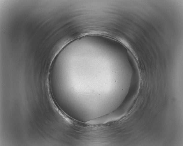 X0000066120906200603241607