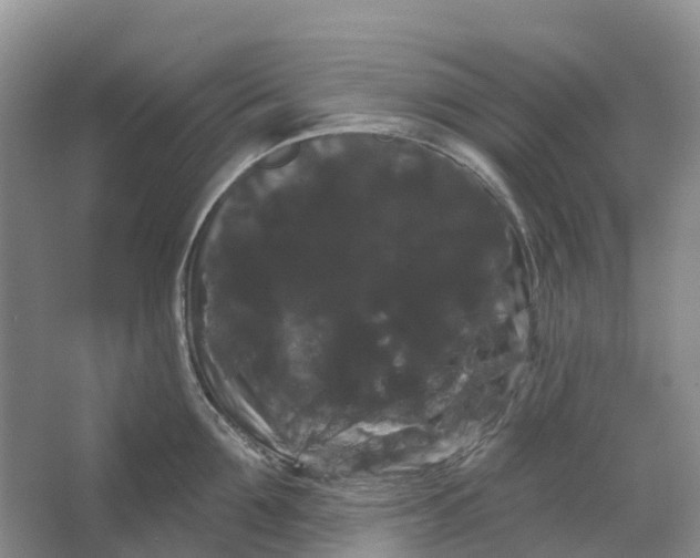 X0000066120907200603241607