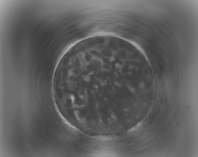 X0000066120911200603241607