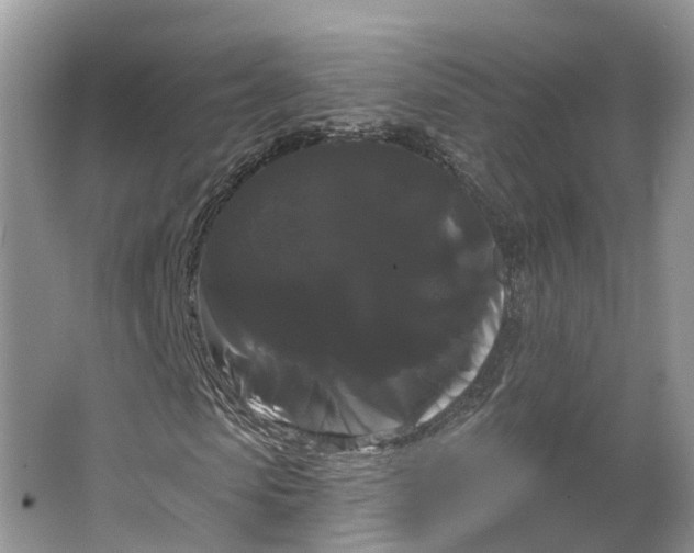 X0000066120913200603241606