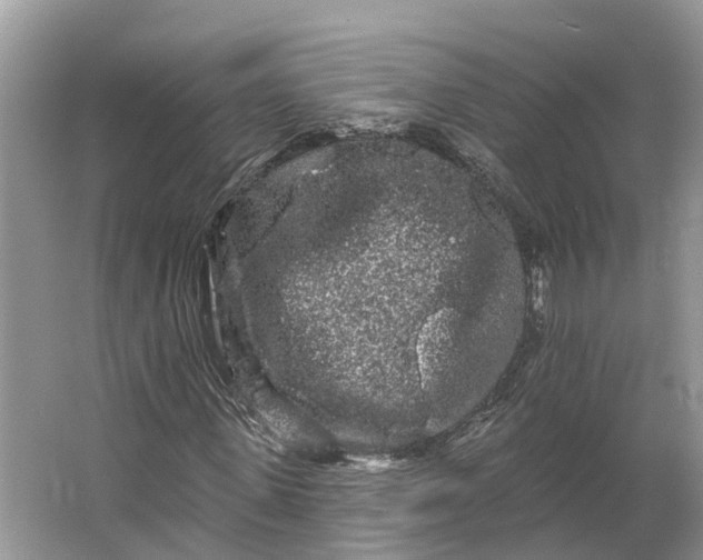 X0000066120915200603241606