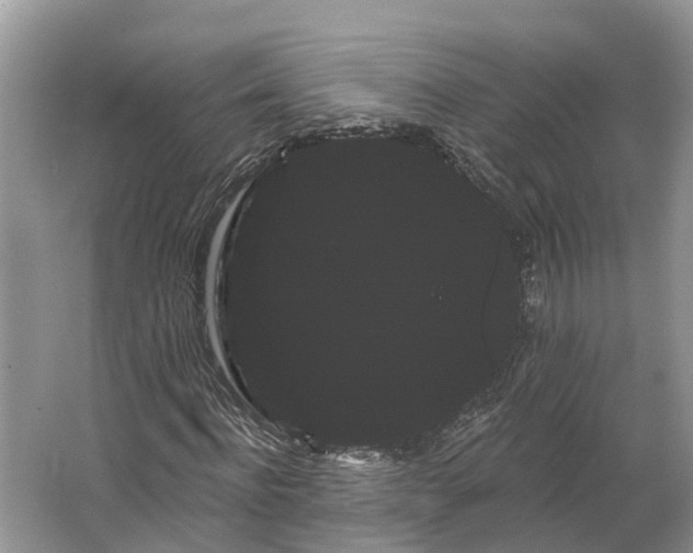 X0000066120916200603241606