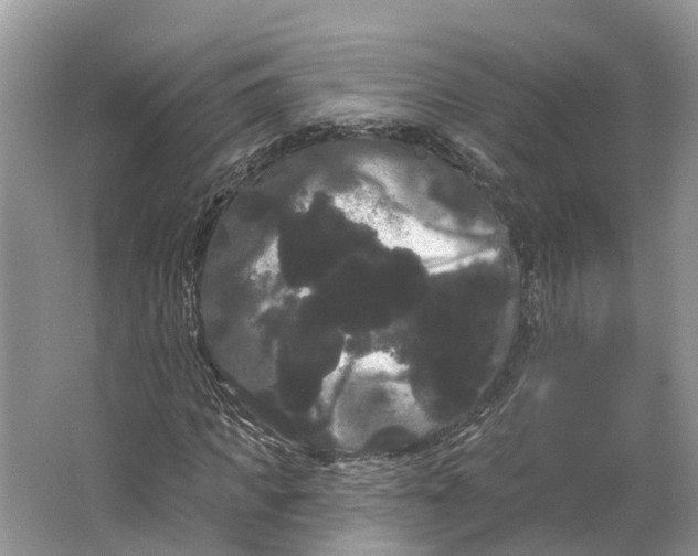 X0000066120917200603241606