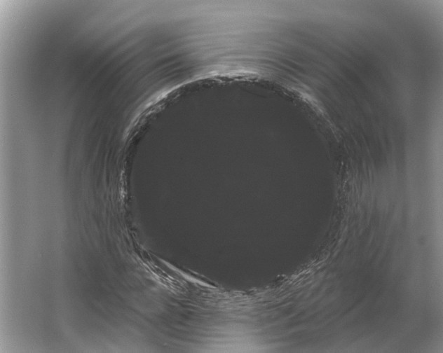 X0000066120920200603241606