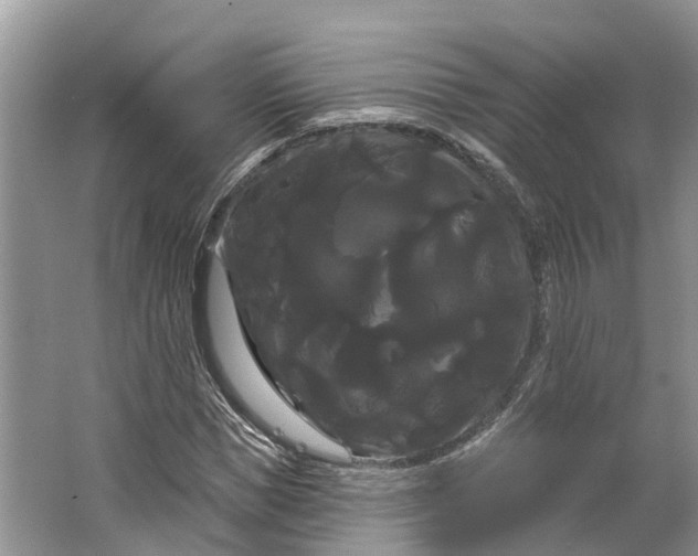 X0000066120921200603241606