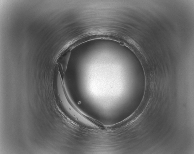 X0000066120922200603241606