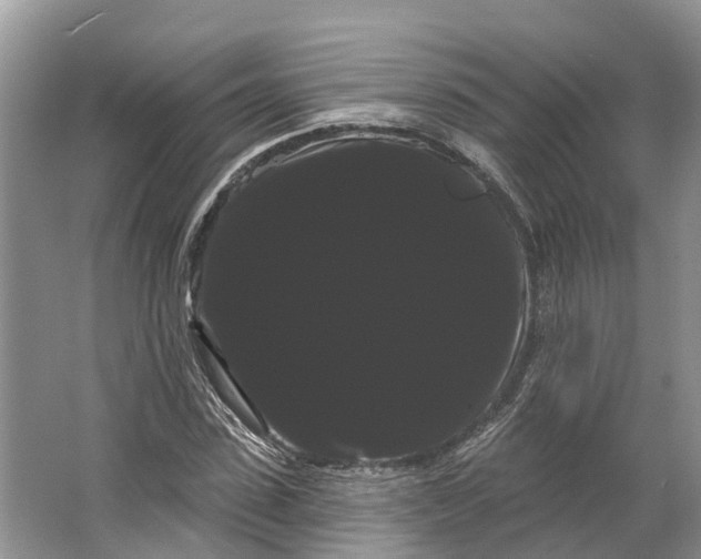 X0000066120923200603241606