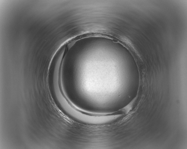 X0000066120924200603241606