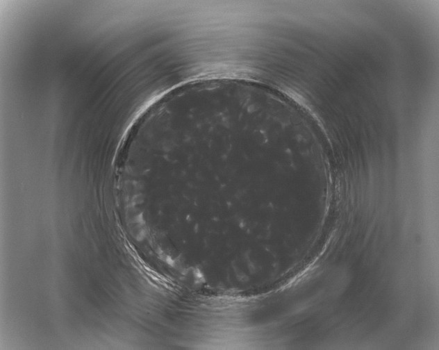 X0000066120925200603241606