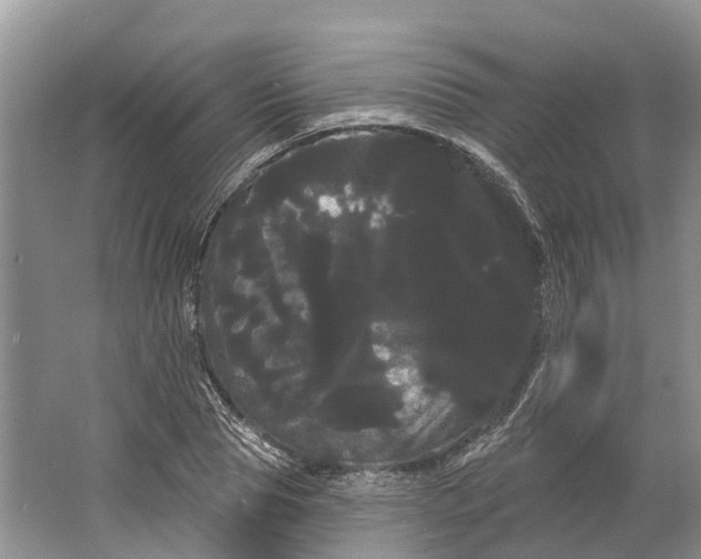 X0000066120929200603241606