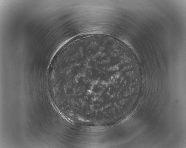 X0000066120933200603241606