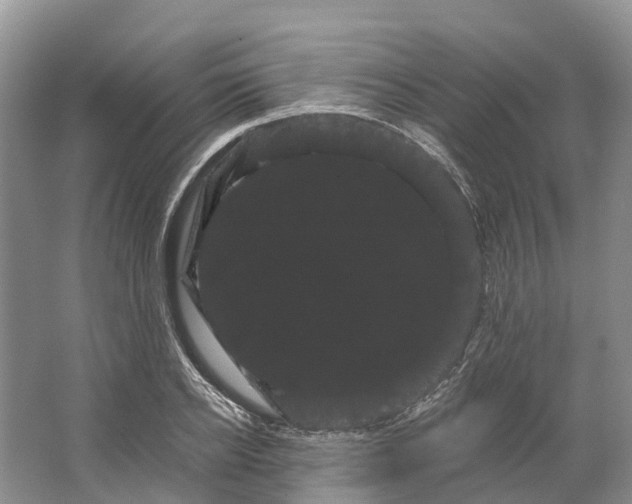 X0000066120934200603241606