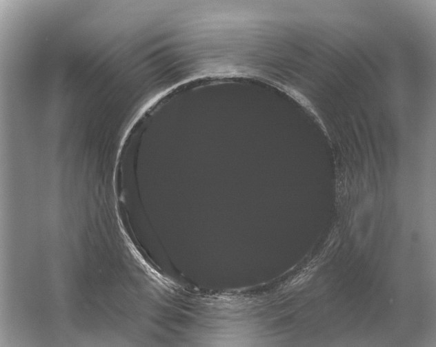 X0000066120935200603241606