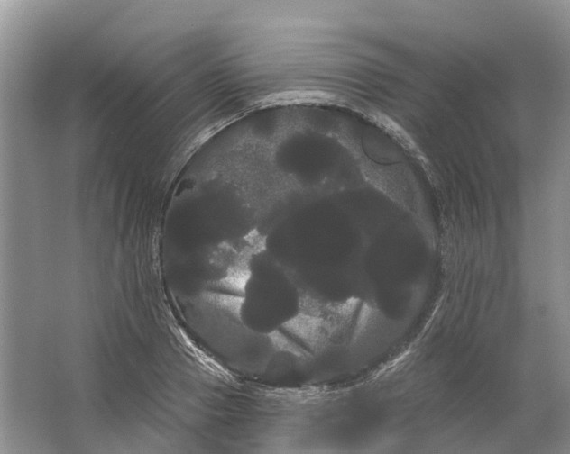 X0000066120937200603241606