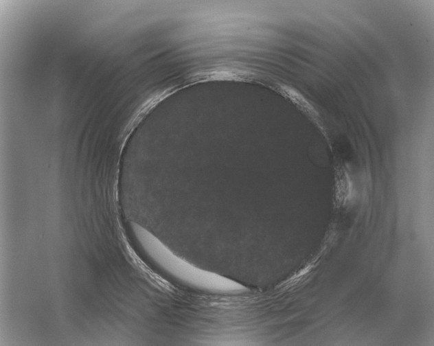 X0000066120938200603241606