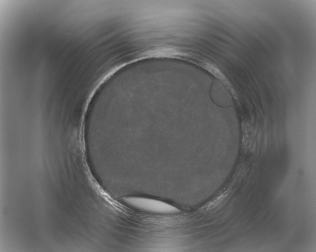 X0000066120939200603241606