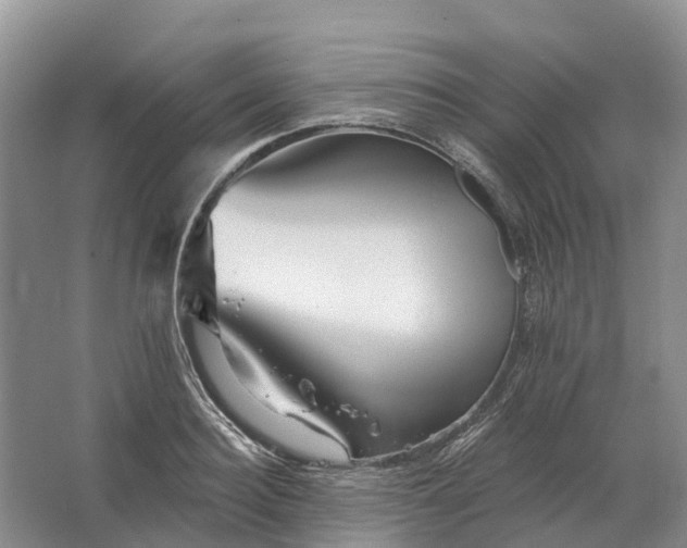 X0000066120940200603241606