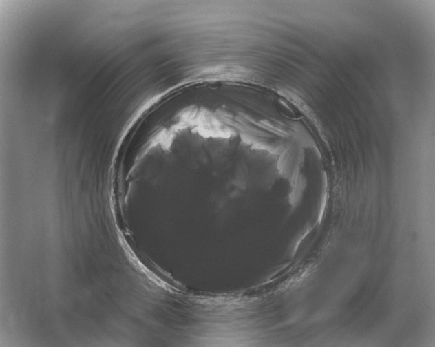 X0000066120941200603241606