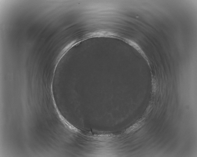 X0000066120946200603241606