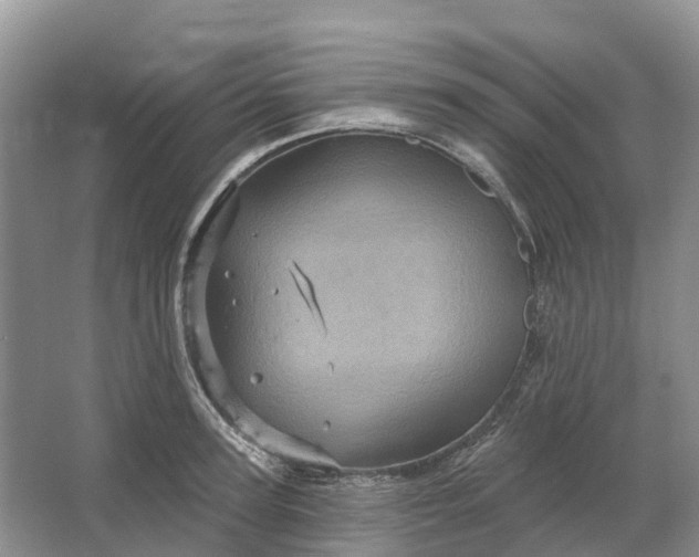 X0000066120947200603241606