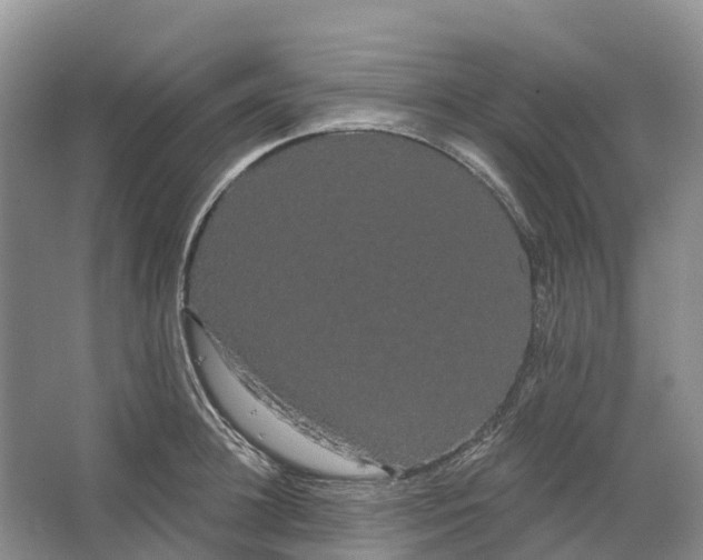 X0000066120948200603241606