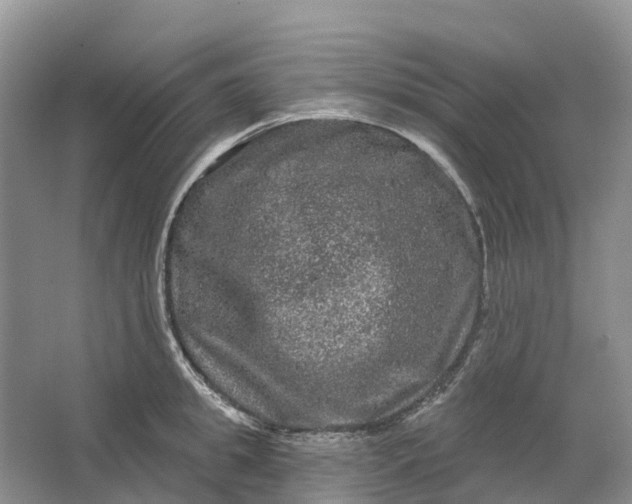 X0000066120949200603241606