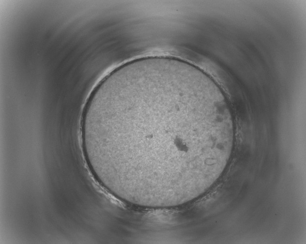 X0000066120950200603241606