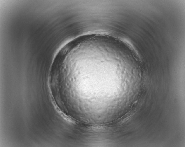 X0000066120952200603241606