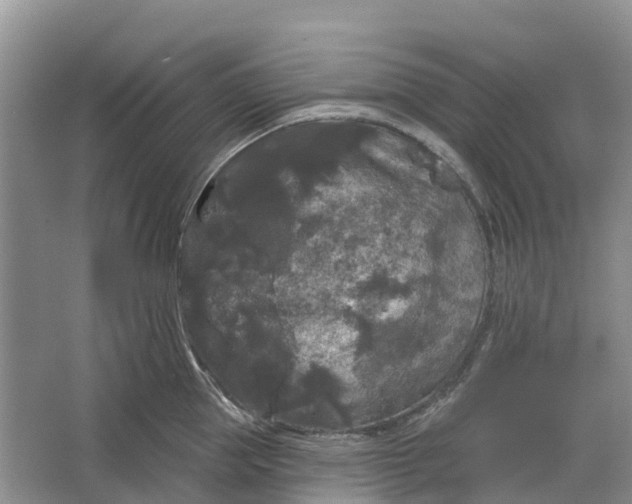 X0000066120953200603241607