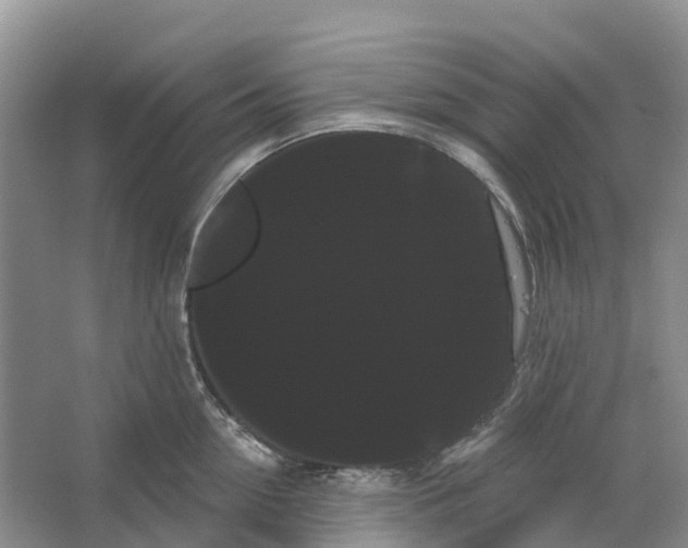 X0000066120954200603241607