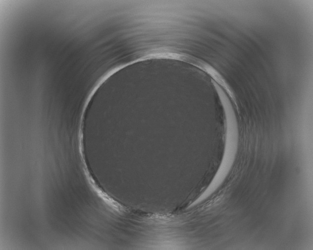 X0000066120955200603241607