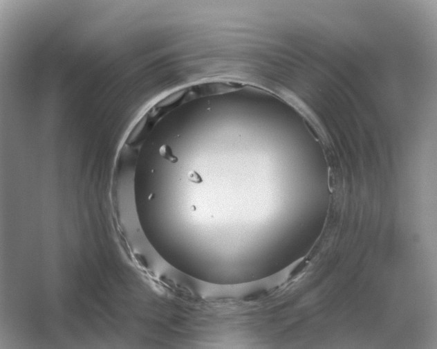 X0000066120956200603241607