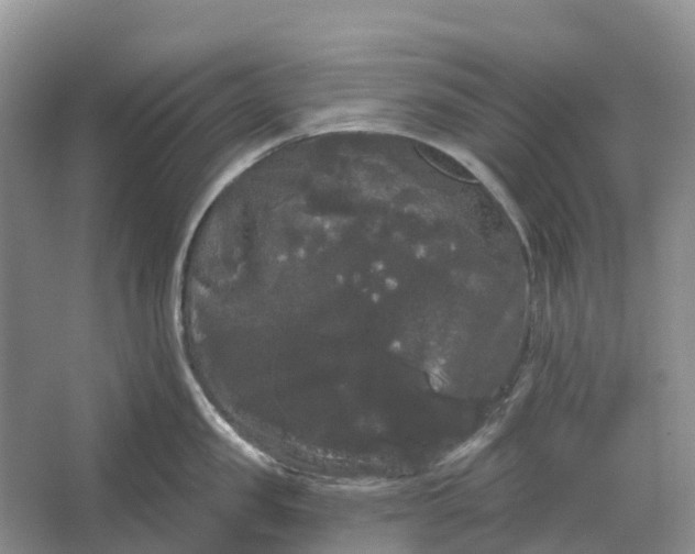 X0000066120957200603241607