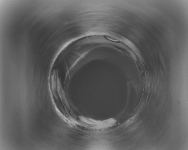 X0000066120958200603241607