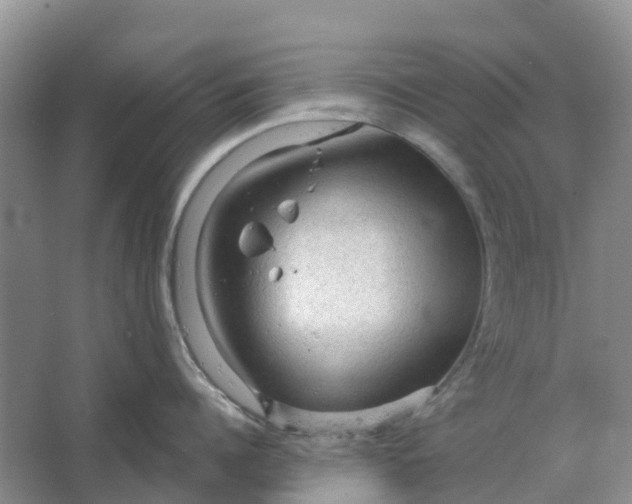 X0000066120960200603241607