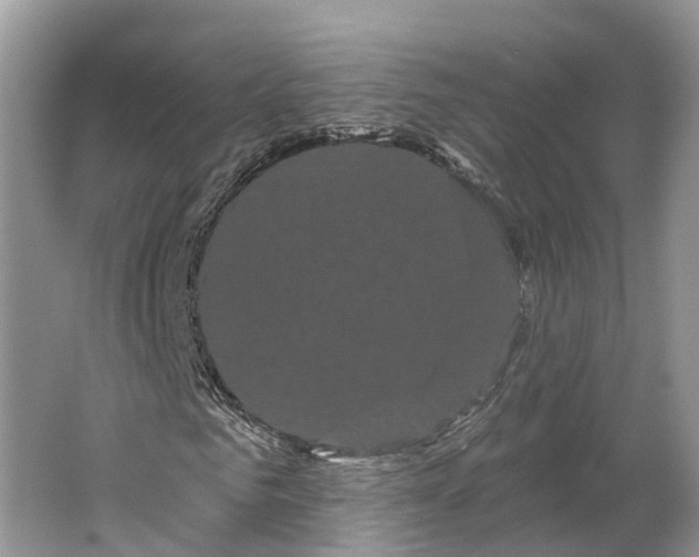 X0000066120961200603241606