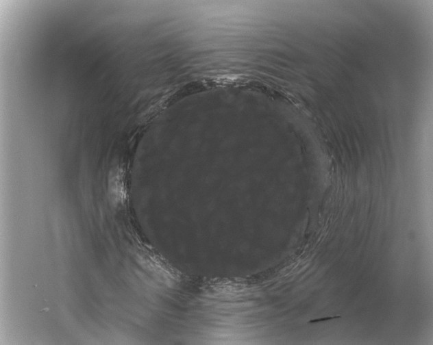 X0000066120962200603241606