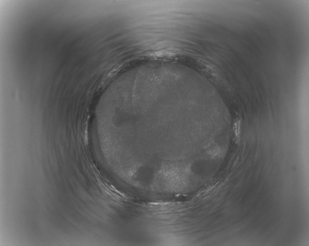 X0000066120963200603241606