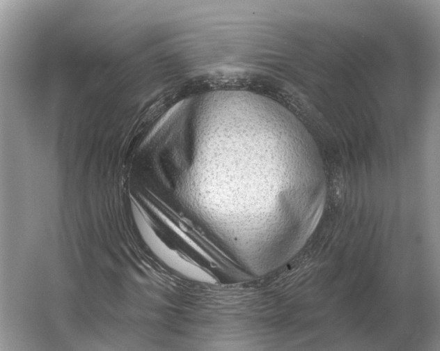 X0000066120964200603241606