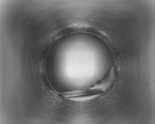 X0000066120965200603241606