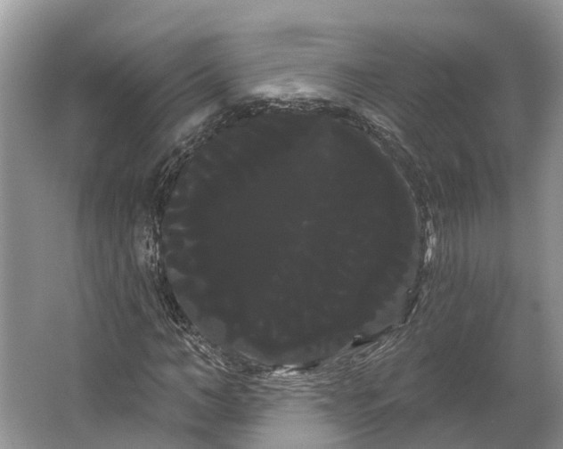 X0000066120966200603241606