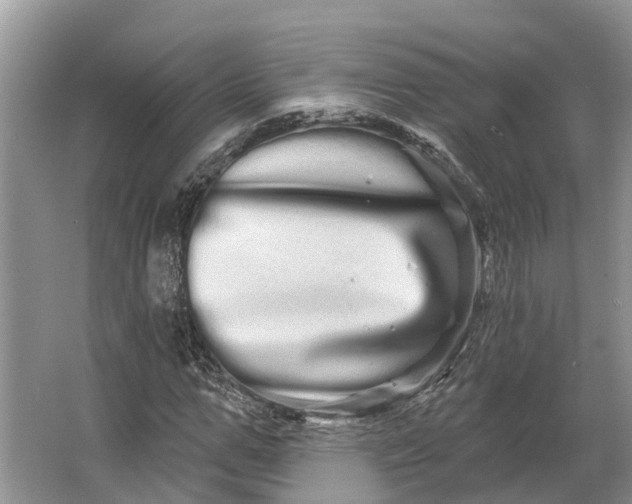 X0000066120967200603241606